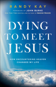 Book cover for Dying to Meet Jesus