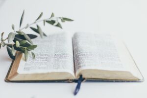 An olive branch on top of a Bible