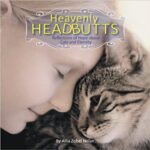 Child doing a headbutt with a cat